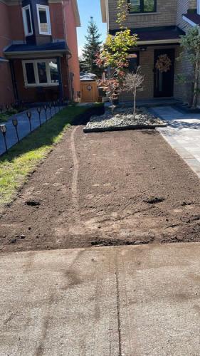 2023-Sod-Turf-60-Whitby-Landscaping