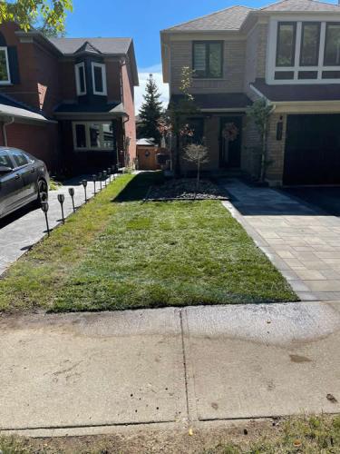 2023-Sod-Turf-61-Whitby-Landscaping