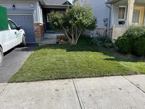 2023-Sod-Turf-63-Whitby-Landscaping