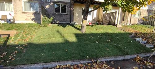2023-Sod-Turf-66-Whitby-Landscaping