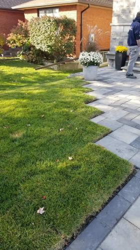 2023-Sod-Turf-67-Whitby-Landscaping