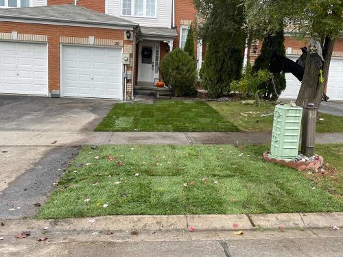 2023-Sod-Turf-68-Whitby-Landscaping