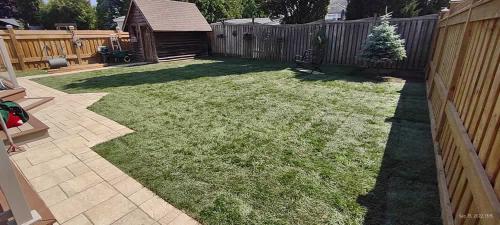 2023-Sod-Turf-75-Whitby-Landscaping