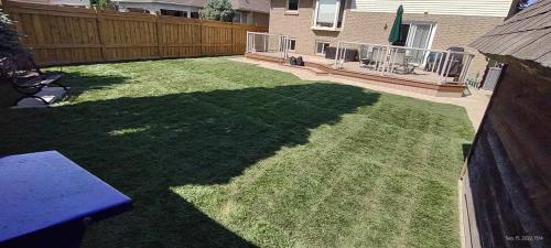 2023-Sod-Turf-76-Whitby-Landscaping