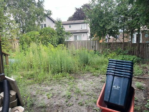 2023-Sod-Turf-77-Whitby-Landscaping