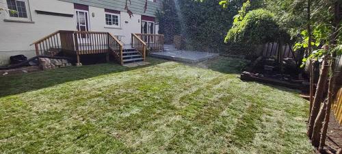 2023-Sod-Turf-78-Whitby-Landscaping