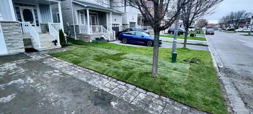 2023-Sod-Turf-8-Whitby-Landscaping
