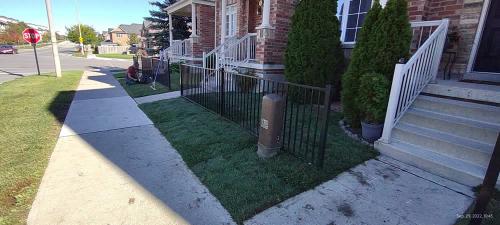 2023-Sod-Turf-84-Whitby-Landscaping