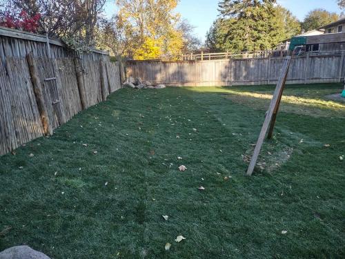 2023-Sod-Turf-85-Whitby-Landscaping