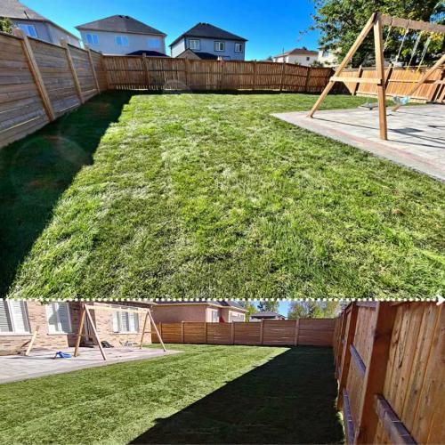 2024-Whitby-Landscaping-Sod-1-Backyard-Sod-Grading