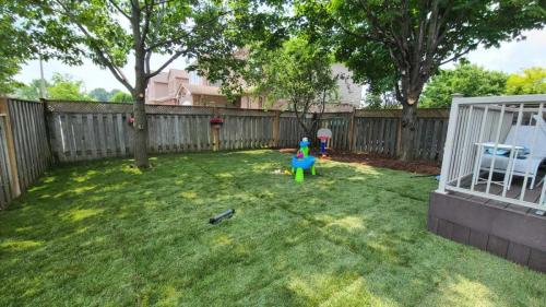 2024-Whitby-Landscaping-Sod-10-Backyard-Sod