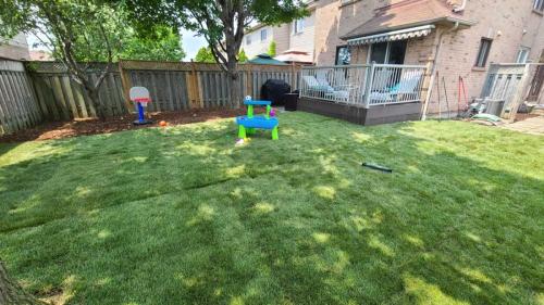 2024-Whitby-Landscaping-Sod-11-Backyard-Sod
