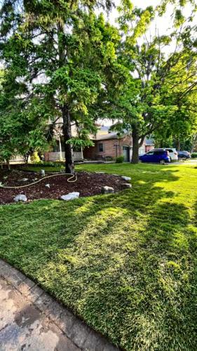 2024-Whitby-Landscaping-Sod-14-Front-Yard-Sod