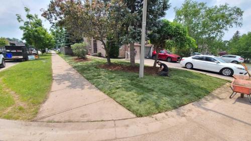 2024-Whitby-Landscaping-Sod-15-Front-Sod
