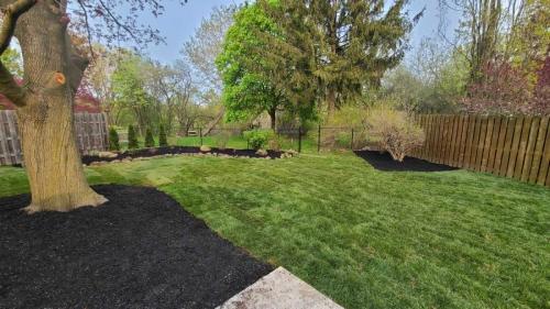 2024-Whitby-Landscaping-Sod-2-Backyard-Sod-Gardens