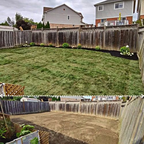 2024-Whitby-Landscaping-Sod-22-Sod-Process