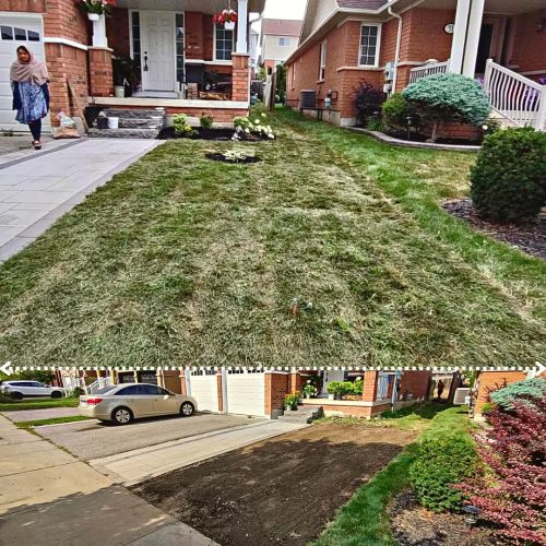 2024-Whitby-Landscaping-Sod-24-Sod-Process