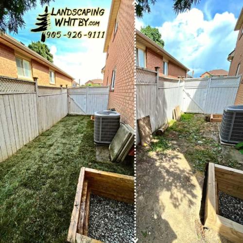 2024-Whitby-Landscaping-Sod-25-Side-Yard-Sod