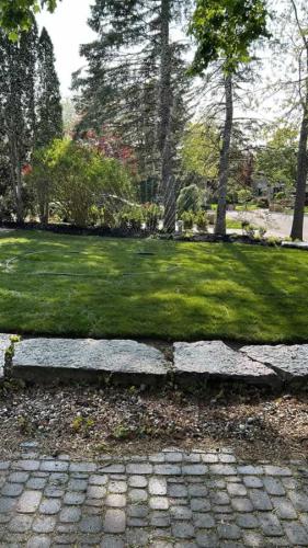 2024-Whitby-Landscaping-Sod-26-Sod-Gardens