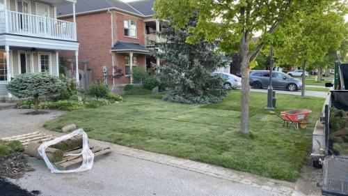 2024-Whitby-Landscaping-Sod-28-Front-Yard-Sod