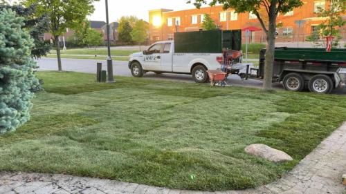 2024-Whitby-Landscaping-Sod-29-Front-Yard-Sod