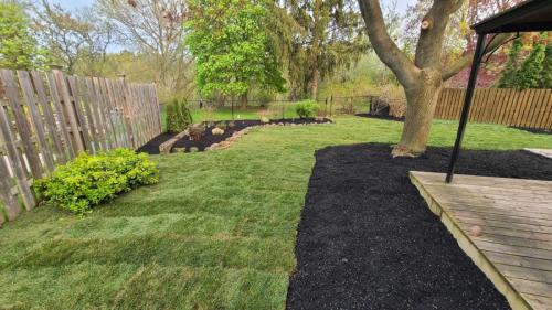2024-Whitby-Landscaping-Sod-3-Backyard-Sod-Gardens