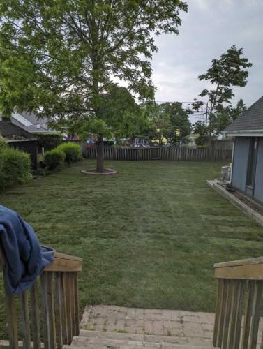 2024-Whitby-Landscaping-Sod-30-Large-Backyard-Sod