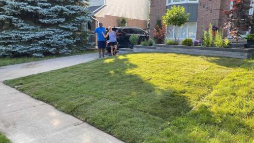 2024-Whitby-Landscaping-Sod-31-Front-Sod