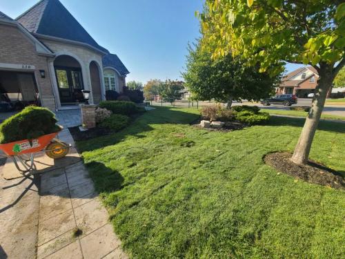 2024-Whitby-Landscaping-Sod-32-Boulevard-Sod