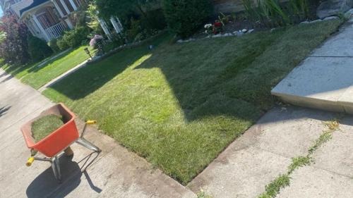 2024-Whitby-Landscaping-Sod-33-Townhouse-sod