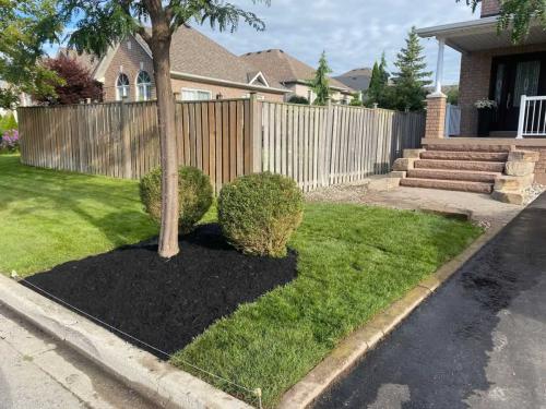 2024-Whitby-Landscaping-Sod-34-Sod-After