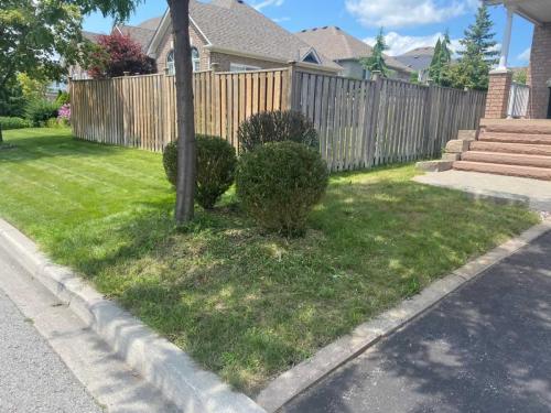 2024-Whitby-Landscaping-Sod-35-Sod-Before