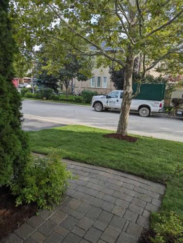 2024-Whitby-Landscaping-Sod-37-Front-Lawn-Replacement