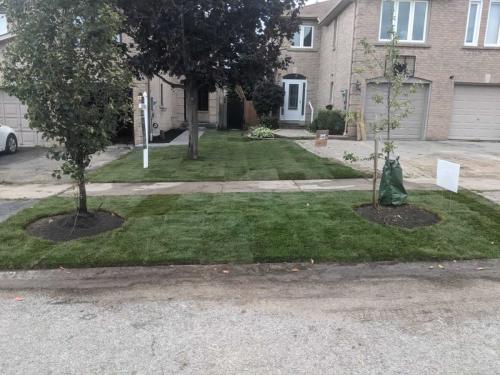 2024-Whitby-Landscaping-Sod-38-Neighbours-Sod