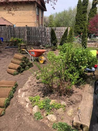 2024-Whitby-Landscaping-Sod-39-Sod-Process