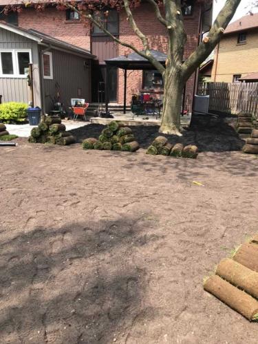 2024-Whitby-Landscaping-Sod-40-Sod-Process