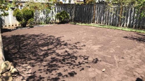 2024-Whitby-Landscaping-Sod-41-Sod-Screened-Topsoil