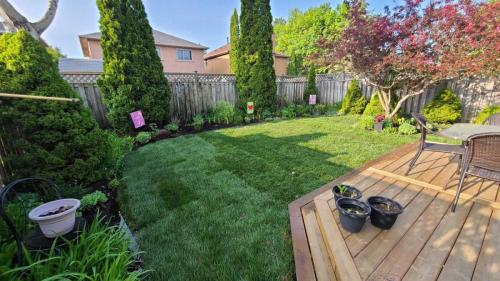 2024-Whitby-Landscaping-Sod-6-Backyard-Sod