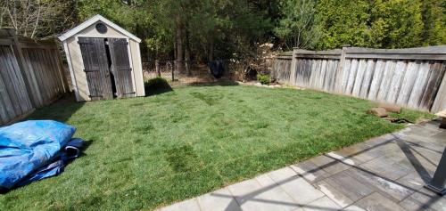 21 - Backyard sod with irigation