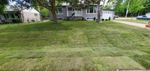 25 - Front yard whitby sod replacement
