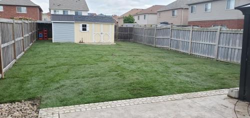 27 - Whitby backyard replacement