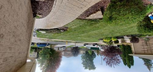 29 - Sod neighbours front lawn