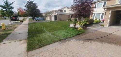 30 - Neighbours shared lawn