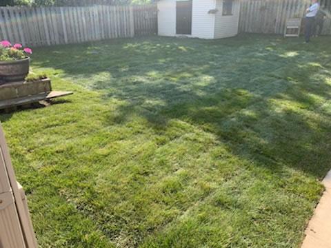 35 - Backyard sod in Queens common