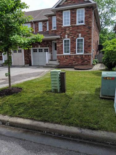 38 - Frontyard sod in Pickering