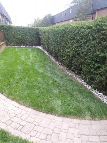 3 - Path river stone added