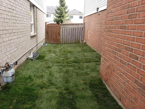 40 - Sideyard sod maintaining drainage