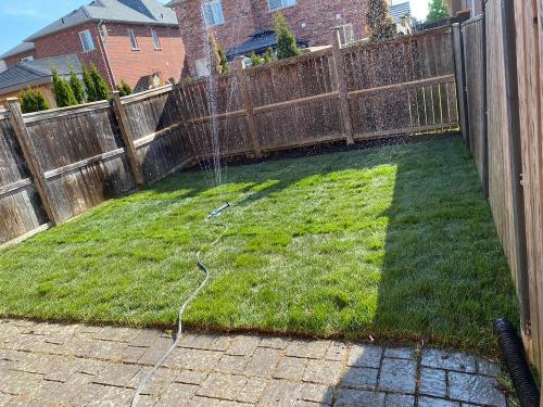 45 - Small backyard sod