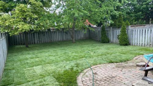 46 - Backyard sod install in Brooklin