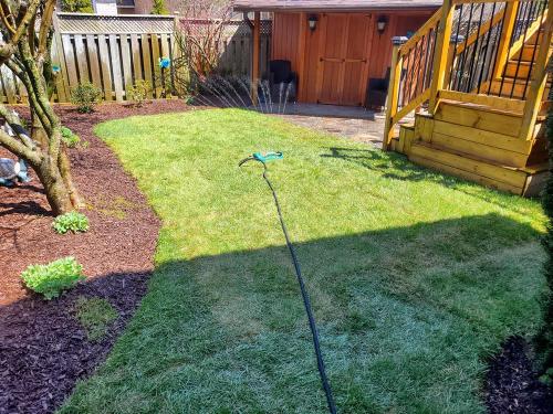 4 - Small backyard sod